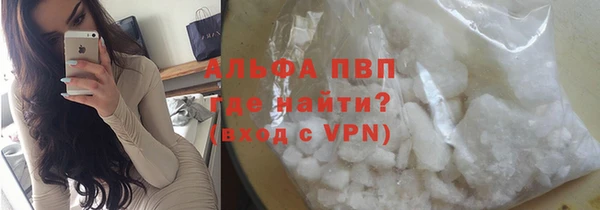 гашик Вязьма