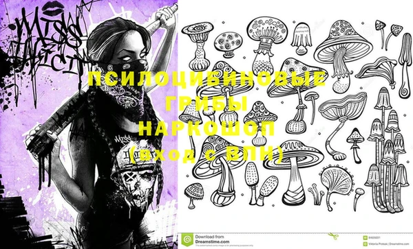 стаф Вязники