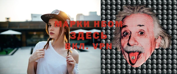 гашик Вязьма