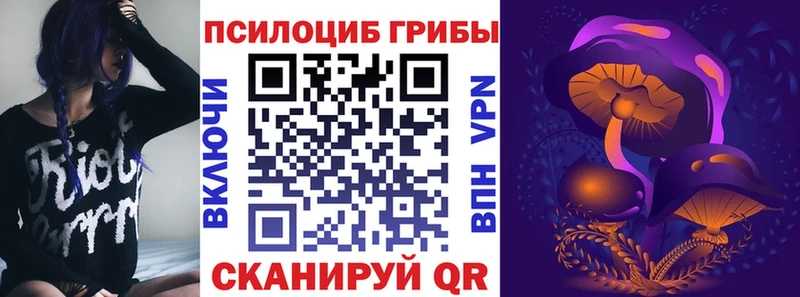 где можно купить наркотик  Николаевск  Псилоцибиновые грибы ЛСД 