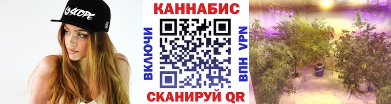 Бошки марихуана конопля наркошоп Николаевск
